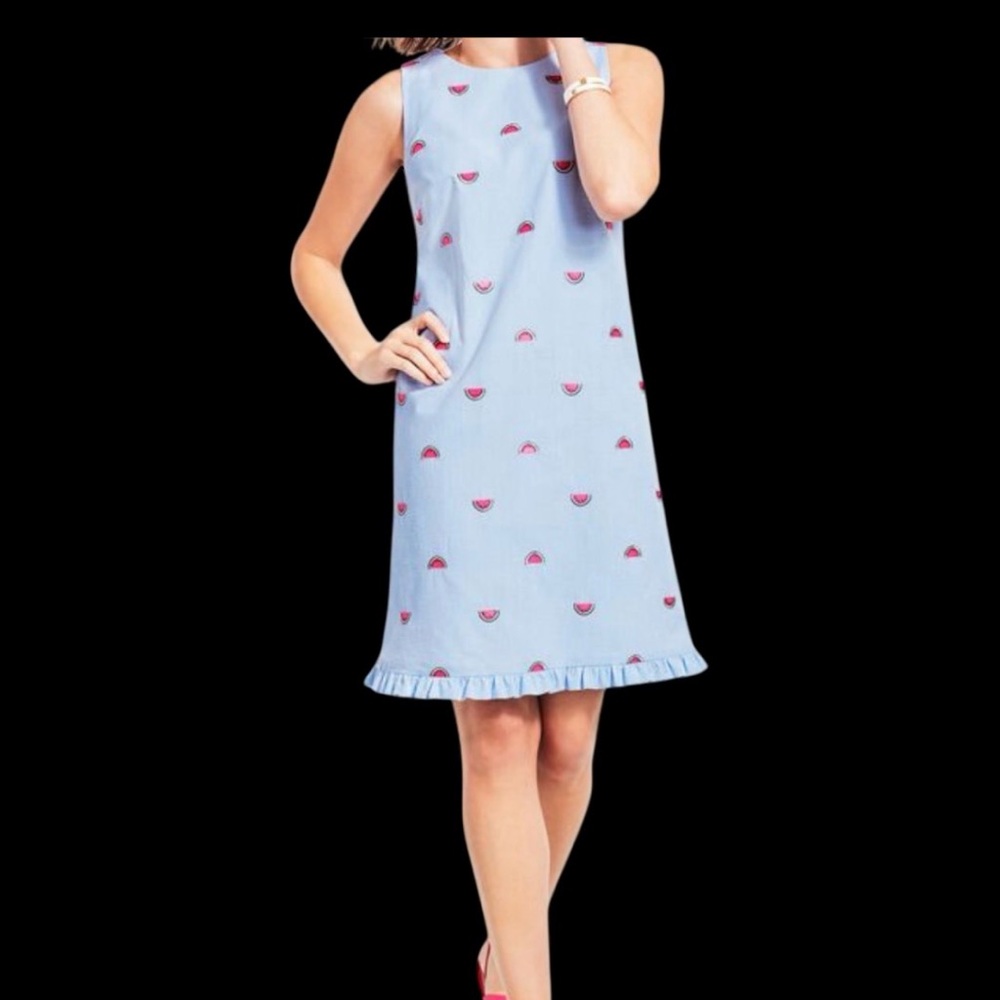 Talbots Blue and White watermelon seersucker Striped shift dress size 8